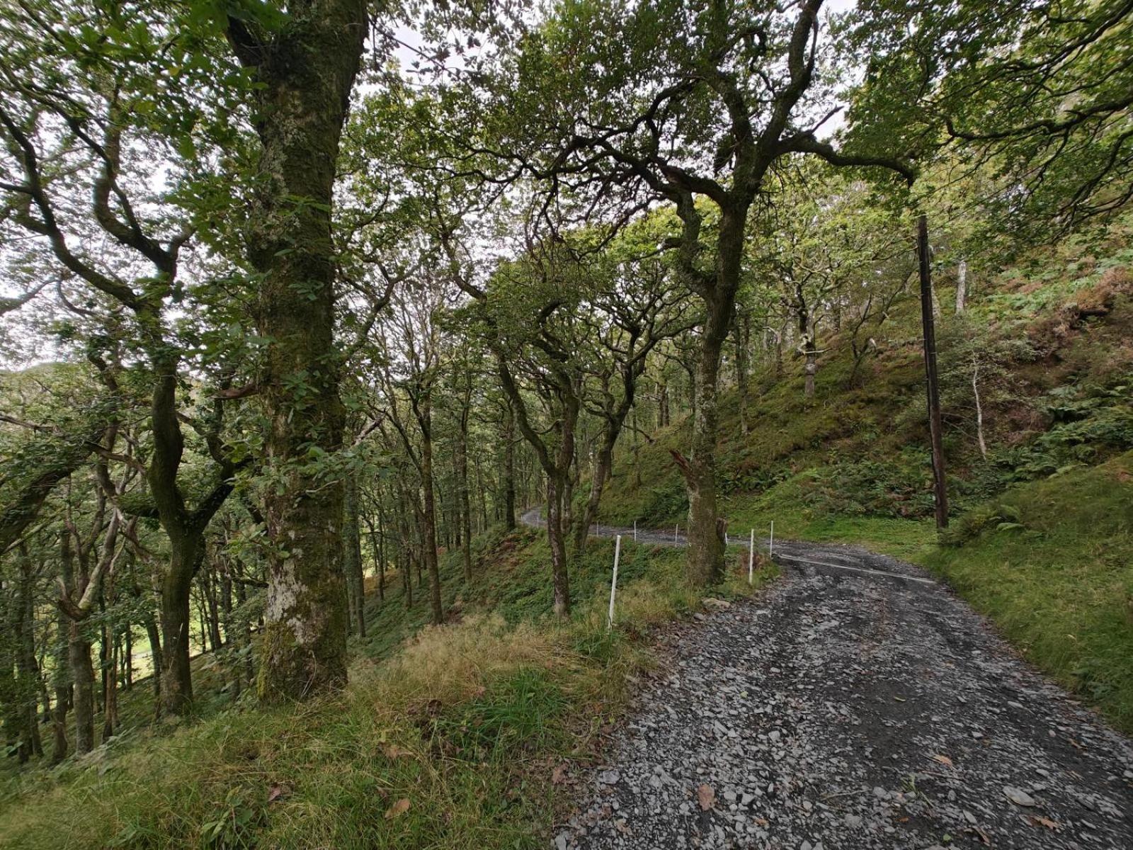 Pandy Farmhouse - Panoramic Mountain Views Within Snowdonia'S National Park - 4X4 Recommended Dolgellau Exterior foto
