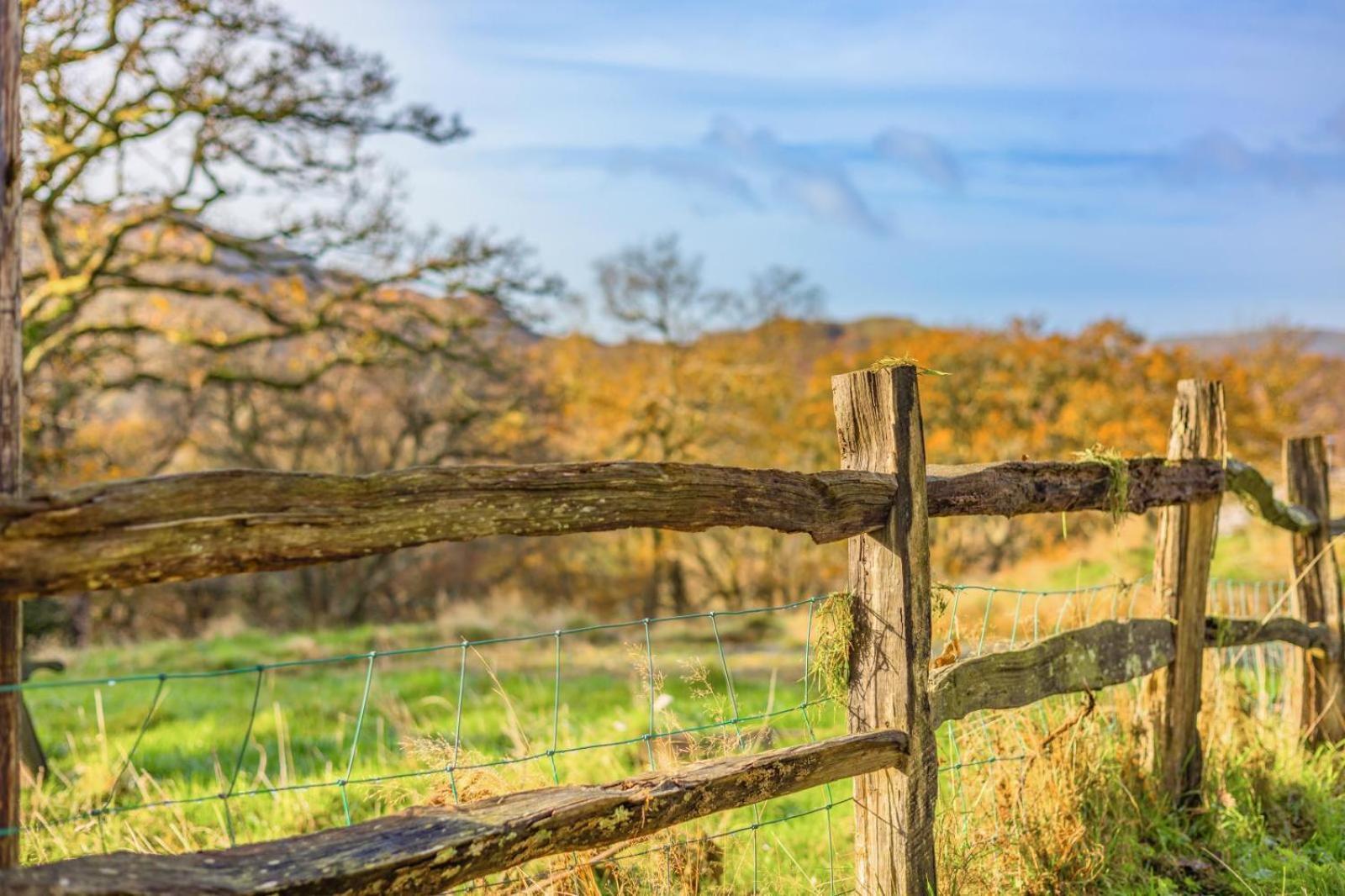 Pandy Farmhouse - Panoramic Mountain Views Within Snowdonia'S National Park - 4X4 Recommended Dolgellau Exterior foto